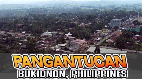 pangantucan bukidnon zip code|Pangantucan, Bukidnon Profile – PhilAtlas.